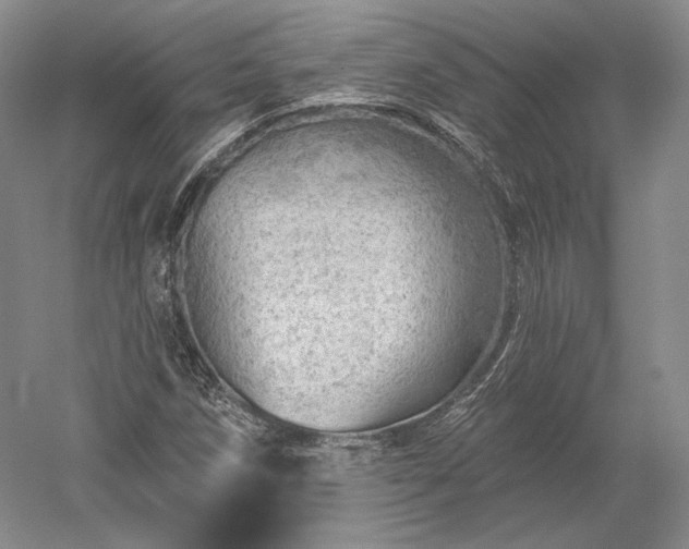 X0000052641258200507081956