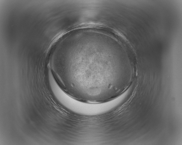 X0000052641259200507081956