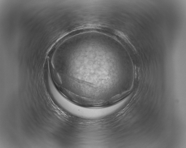 X0000052641260200507081956