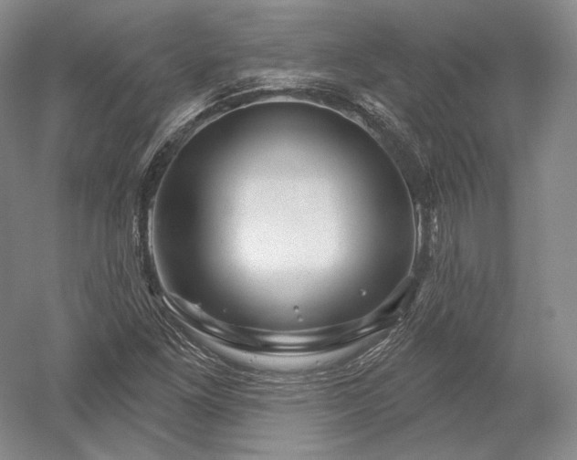 X0000052641261200507081956