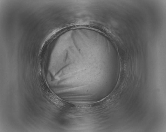 X0000052641262200507081956