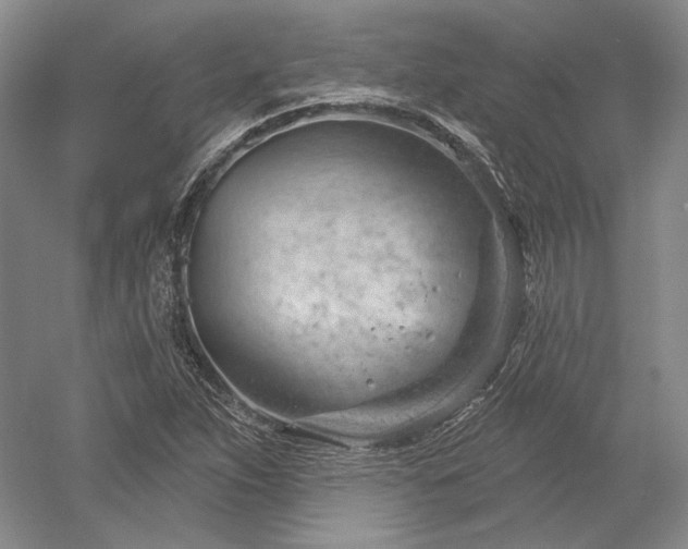 X0000052641263200507081956