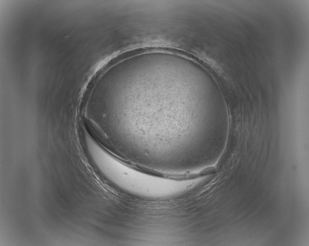 X0000052641264200507081956