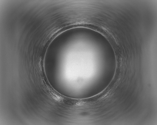 X0000052641265200507081956