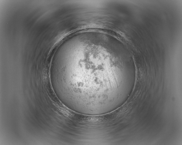 X0000052641266200507081956