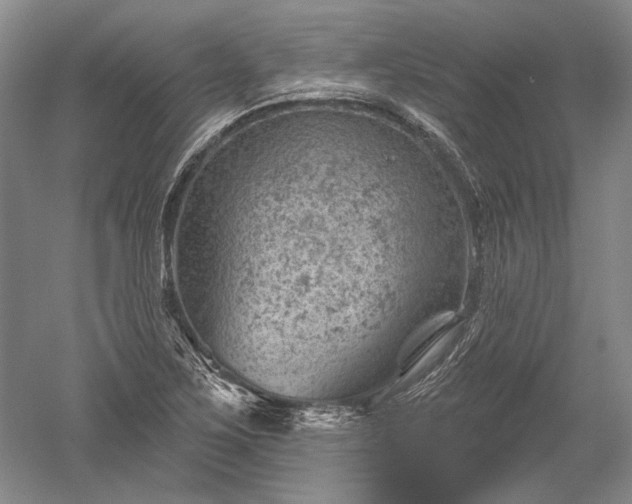 X0000052641267200507081956