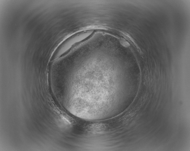 X0000052641268200507081956