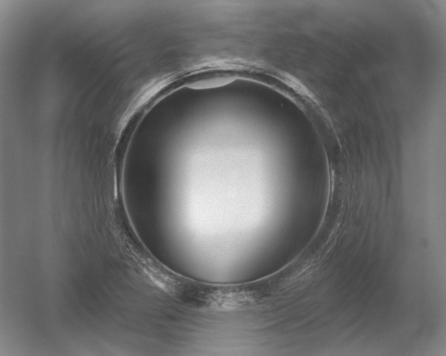 X0000052641269200507081956