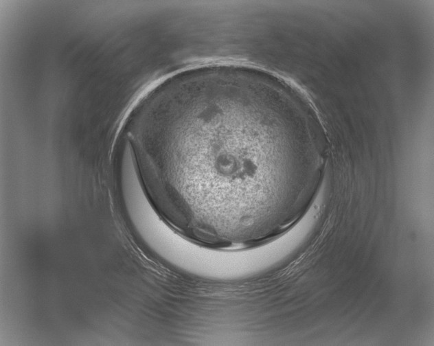 X0000052641271200507081956