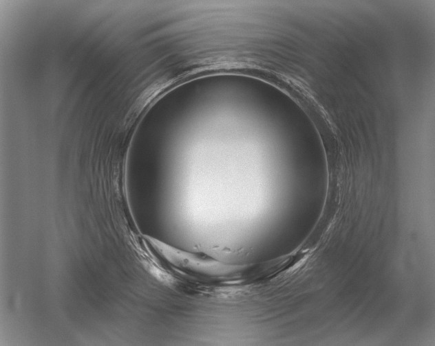 X0000052641273200507081956