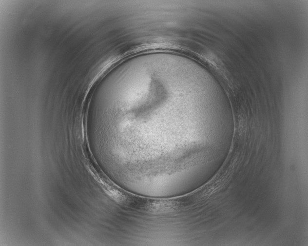 X0000052641274200507081956