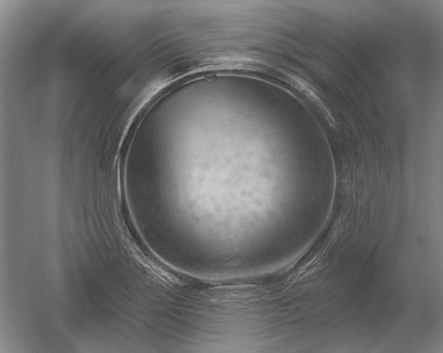 X0000052641275200507081956