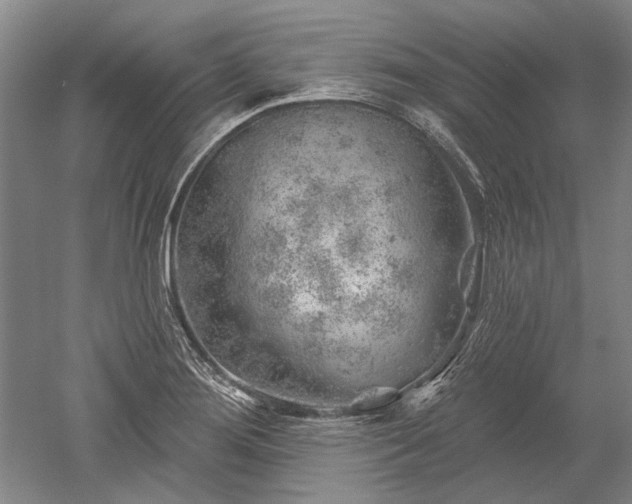 X0000052641276200507081956