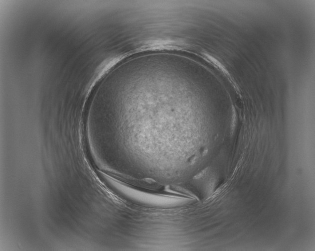 X0000052641277200507081956