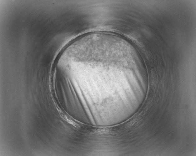 X0000052641278200507081956