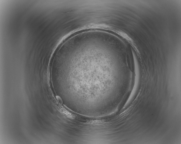 X0000052641280200507081956