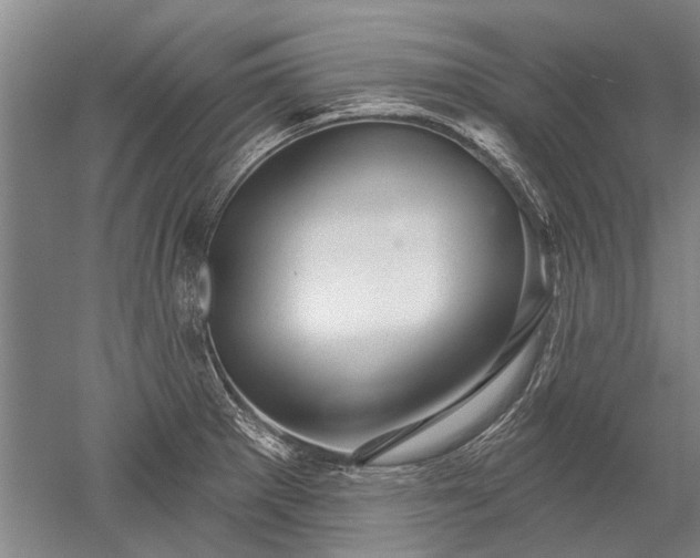 X0000052641281200507081956