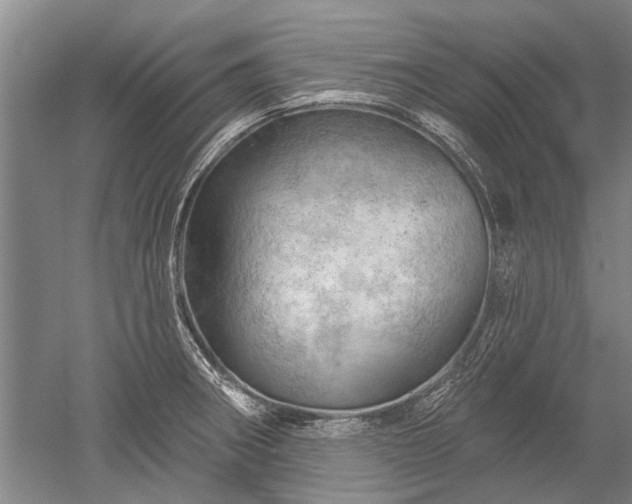 X0000052641282200507081956