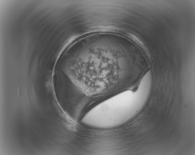 X0000052641283200507081956