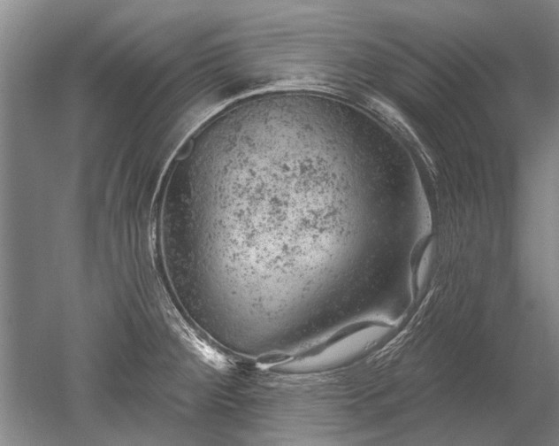 X0000052641284200507081956