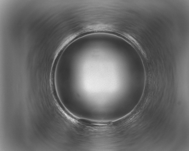 X0000052641285200507081956