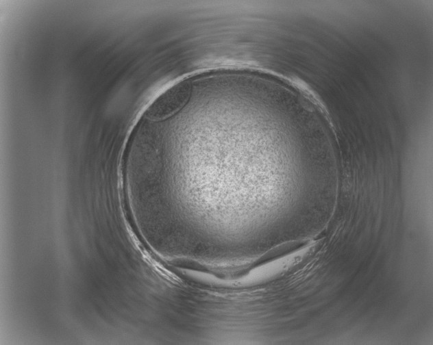 X0000052641287200507081956