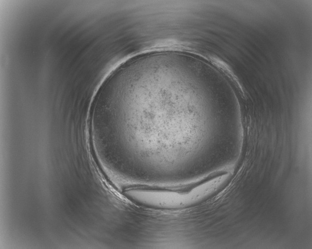 X0000052641288200507081956