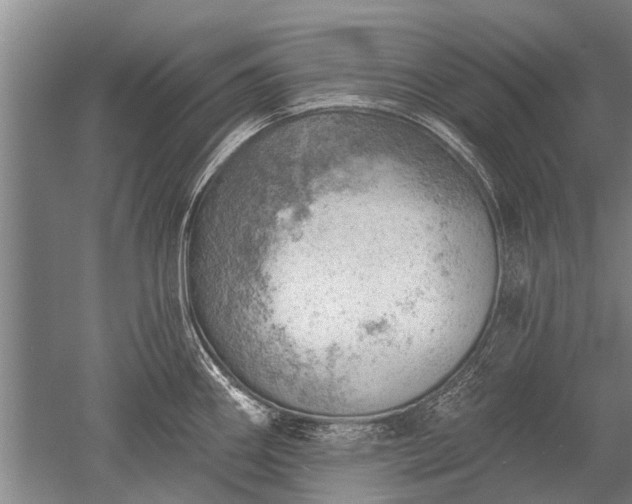 X0000052641290200507081956