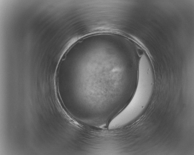 X0000052641291200507081956