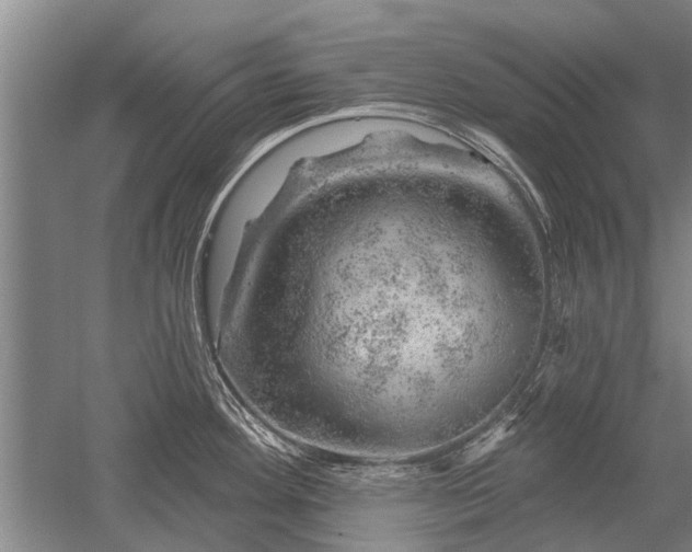 X0000052641292200507081956