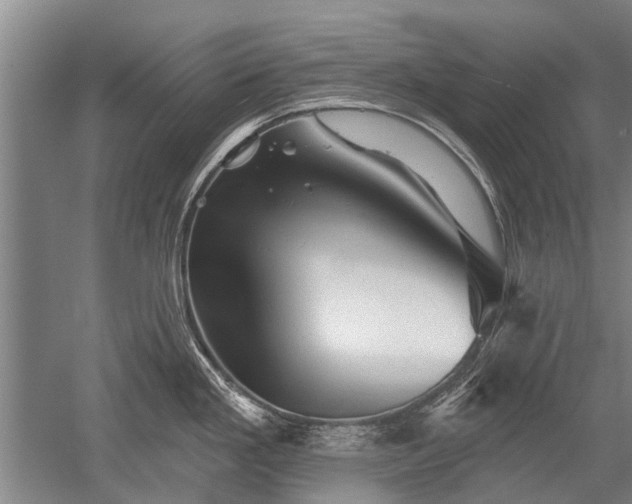 X0000052641293200507081956