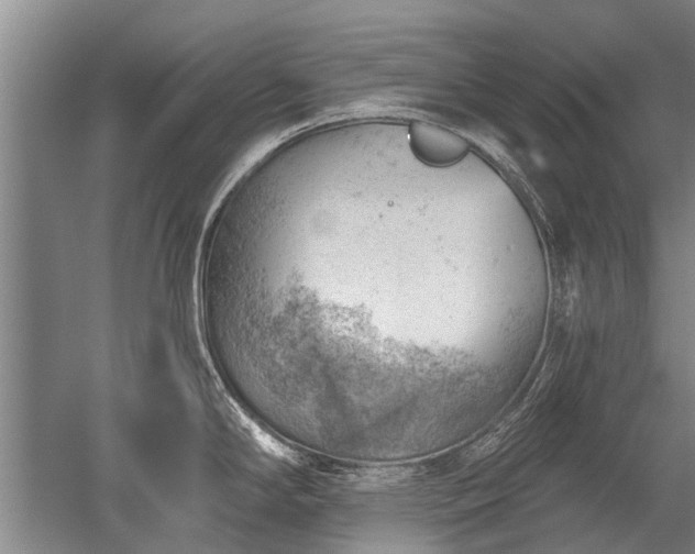 X0000052641294200507081956