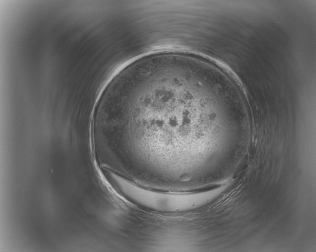 X0000052641295200507081956