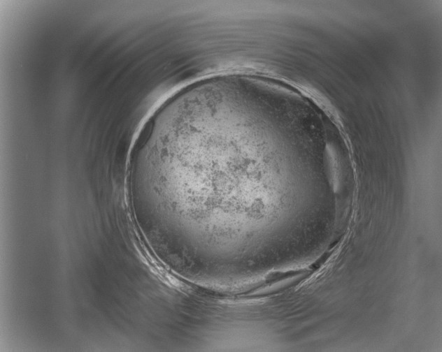 X0000052641296200507081956