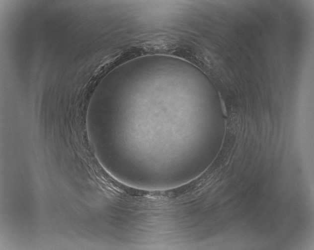 X0000052641297200507081955