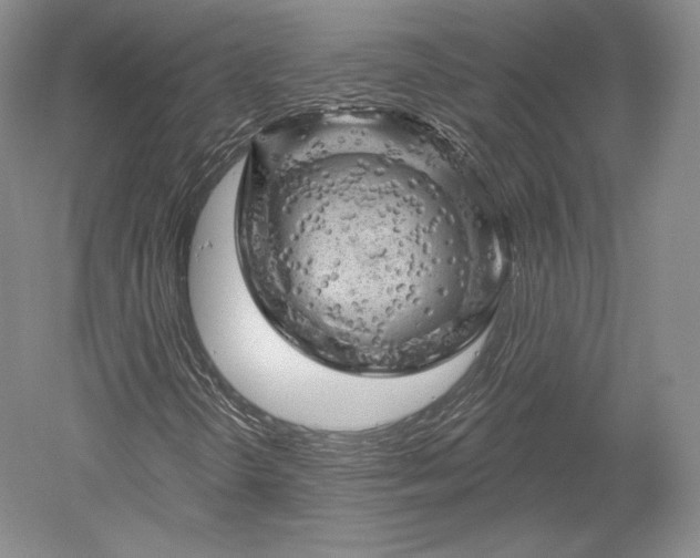 X0000052641298200507081955