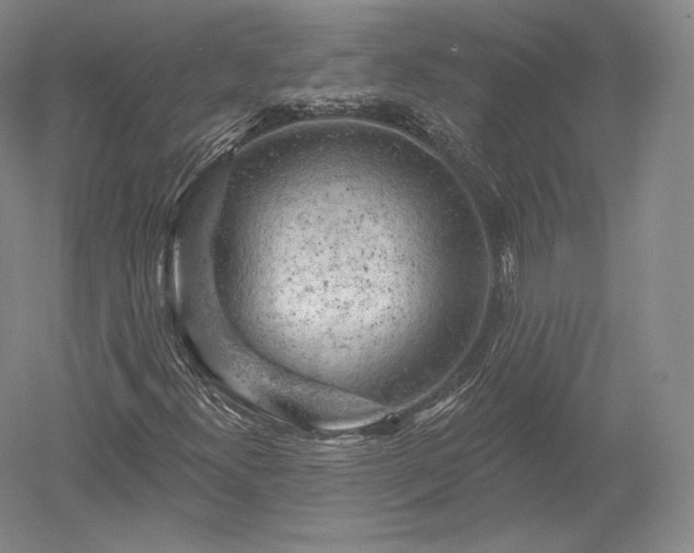 X0000052641300200507081955