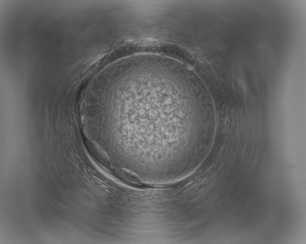 X0000052641301200507081955