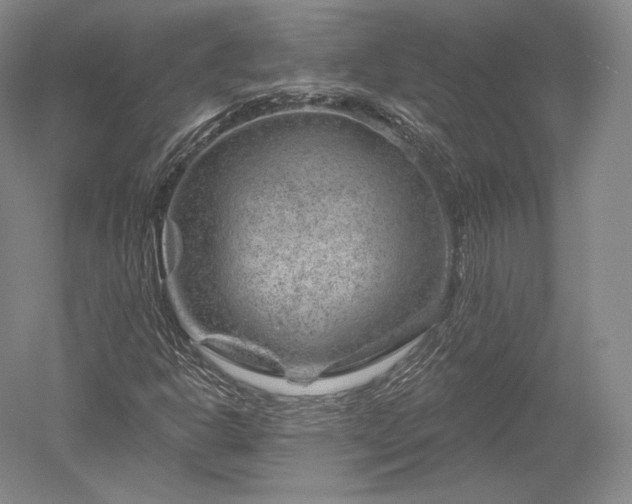 X0000052641302200507081955