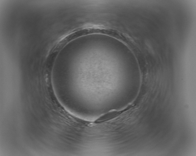 X0000052641303200507081955