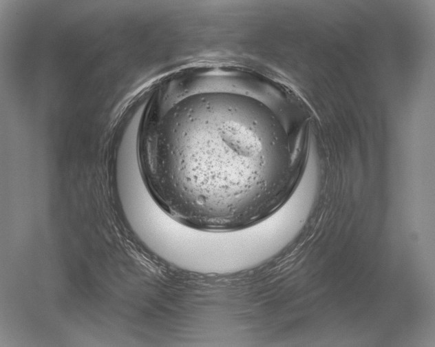 X0000052641304200507081955