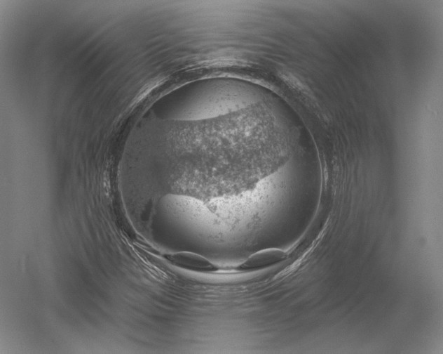 X0000052641305200507081955