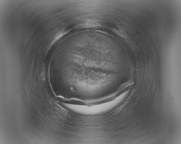 X0000052641306200507081955