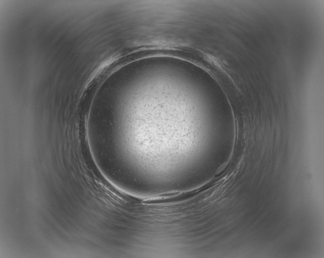 X0000052641307200507081955