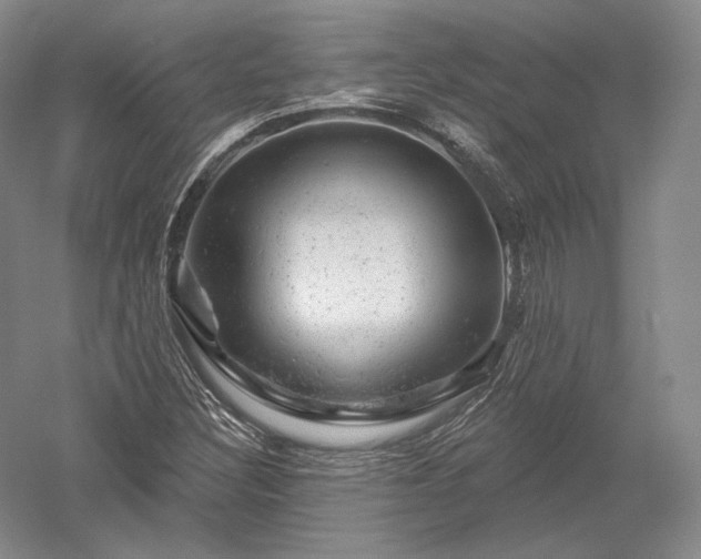 X0000052641308200507081955