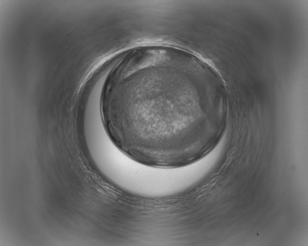 X0000052641311200507081955