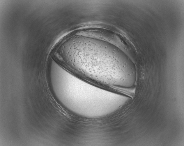 X0000052641312200507081955