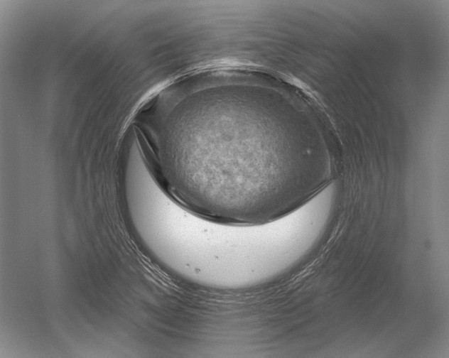 X0000052641314200507081955