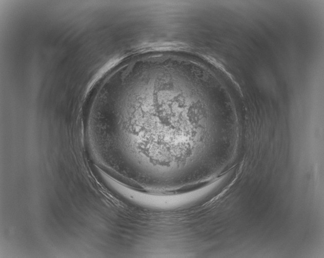 X0000052641317200507081955