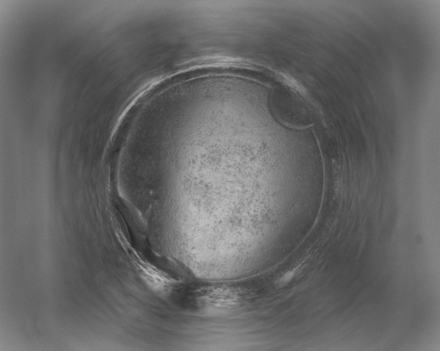 X0000052641318200507081955